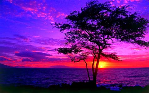 beautiful sunset pictures